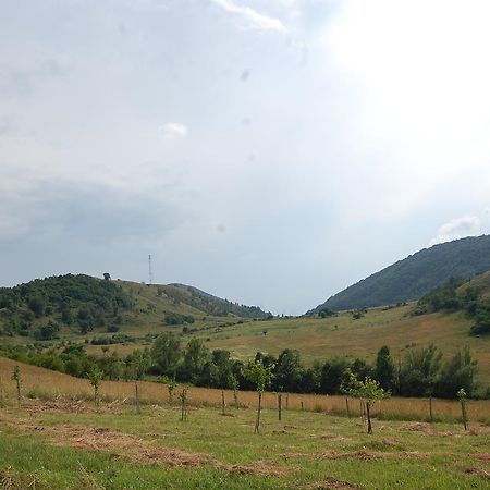 Motel Prislop ฮาเซก ภายนอก รูปภาพ