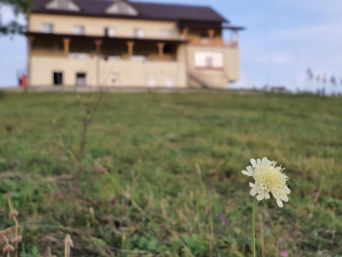 Motel Prislop ฮาเซก ภายนอก รูปภาพ