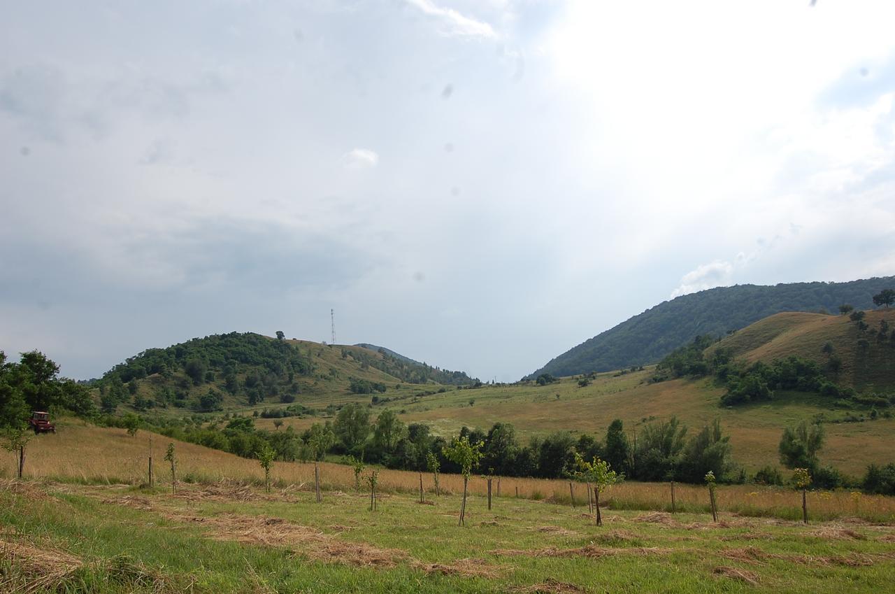 Motel Prislop ฮาเซก ภายนอก รูปภาพ